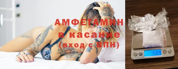 молекула духа Арсеньев