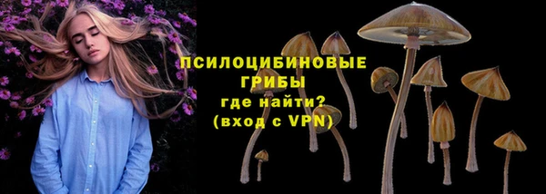 jwh Аркадак
