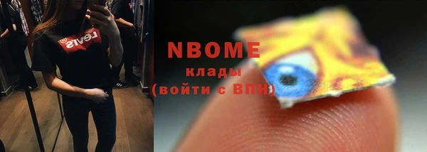 молекула духа Арсеньев