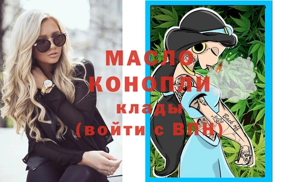 молекула духа Арсеньев