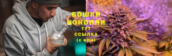 jwh Аркадак